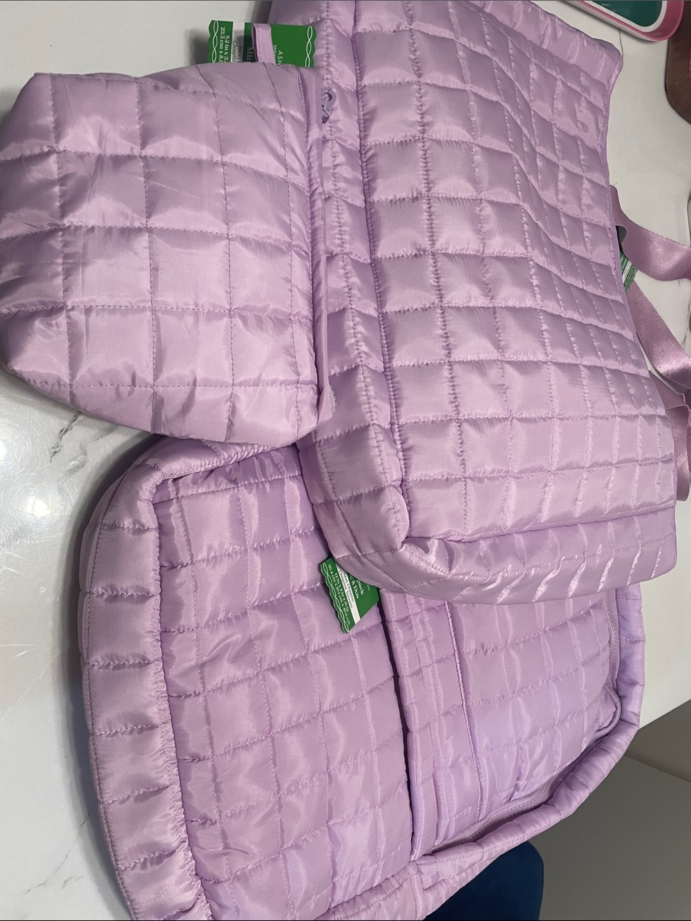 3 bag Bundle, Large Tote, mini zipper pouch, backpack